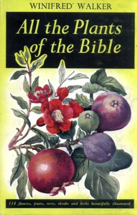 All The Plants of The Bible by Winifred Walker image 0