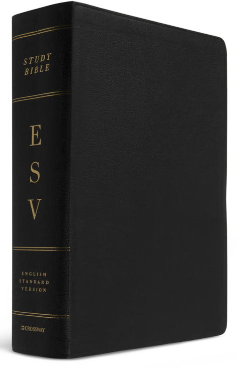 ESV Study Bible Bible large print black genuine leather 10.75 point font