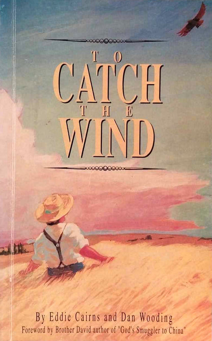 To Catch The Wind by Eddie Cairns and Dan Wooding image 0
