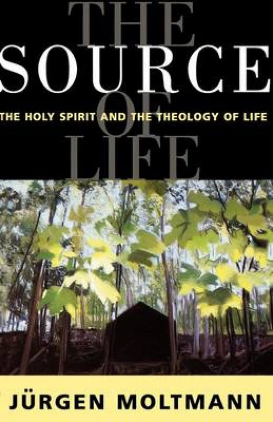 The Source: Holy Spirit and Theology of Life by Jurgen Moltmann image 0