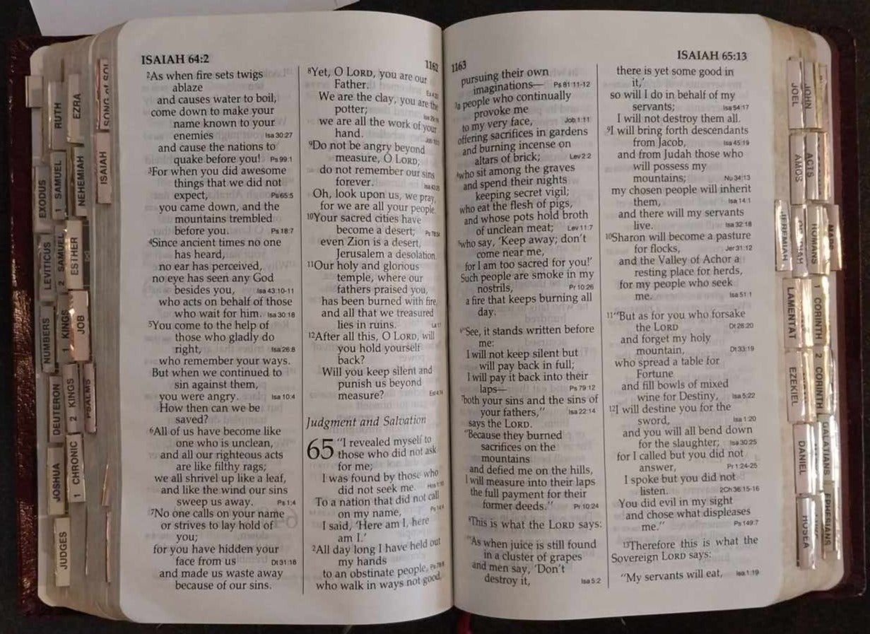 NIV Holy Bible, Large Print image 1