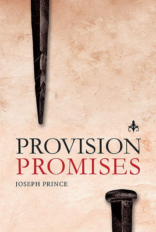 Provision Promises by Joseph Prince image 0