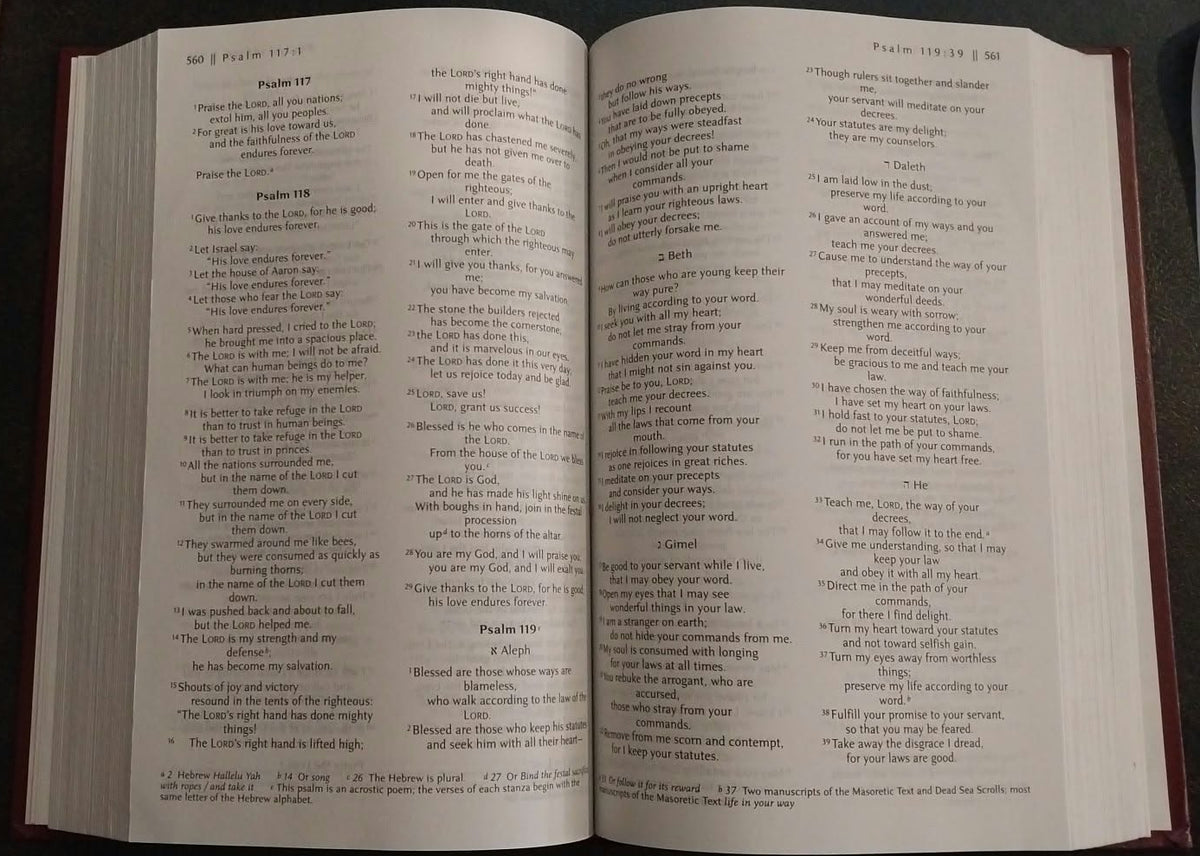 TNIV Holy Bible, Hardcover