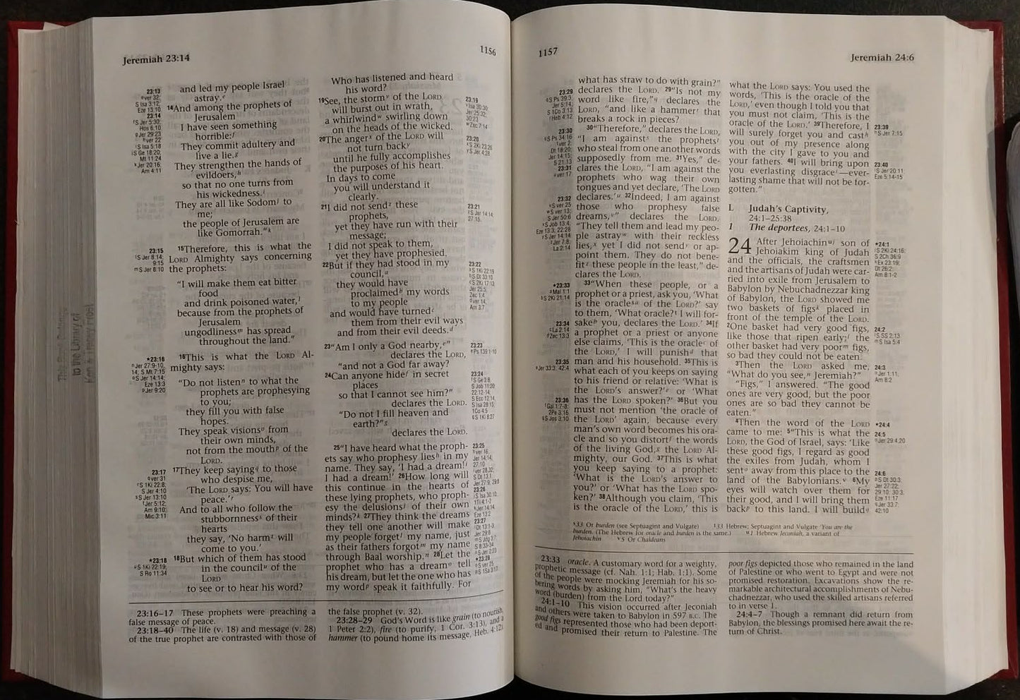 NIV Ryrie Study Bible, Expanded Edition