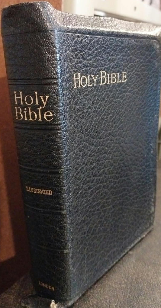 KJV Holy Bible, Illustrated