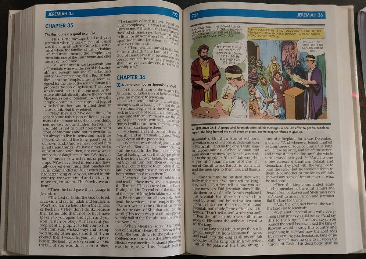 TLB Holy Bible Illustrated: Living Values Edition