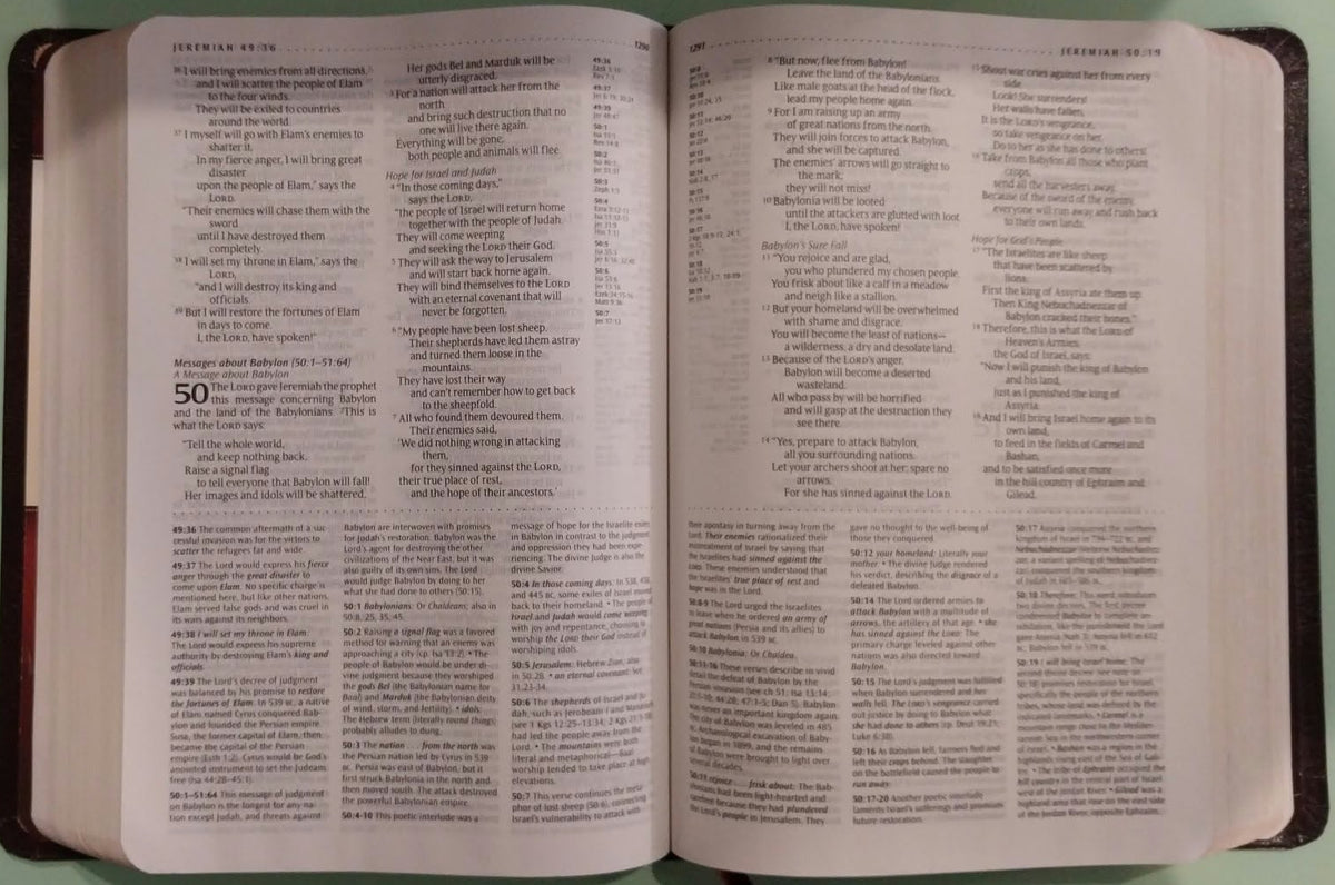 NLT Study Bible