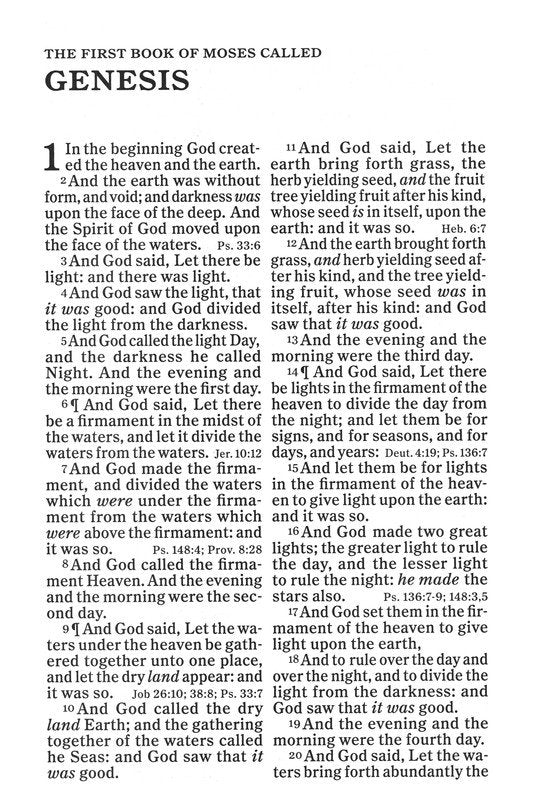 KJV Giant-Print Reference Bible, soft leather-look, brown