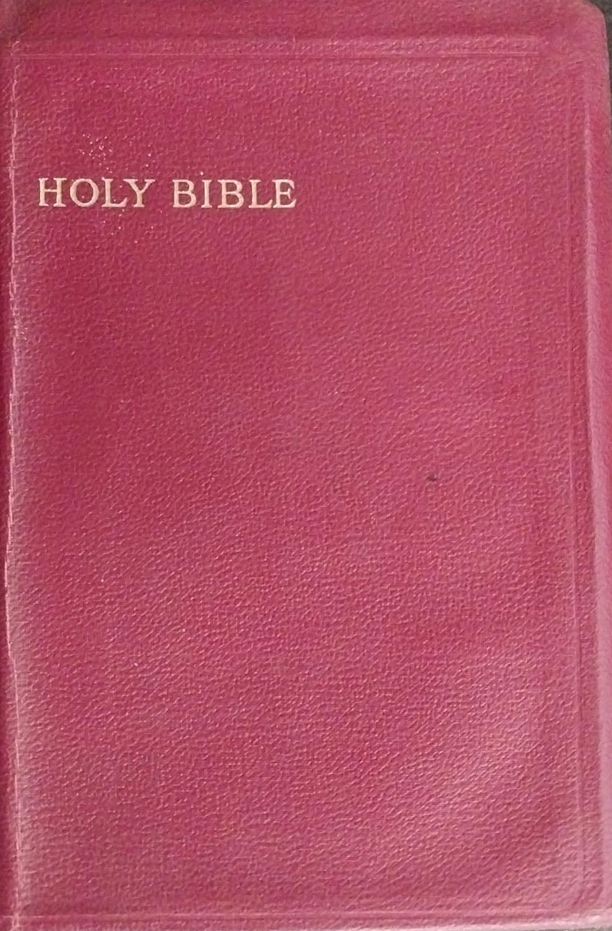 KJV Holy Bible, Red Softcover